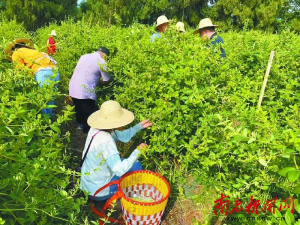 1723086344997825.jpg 1723077321564.jpg